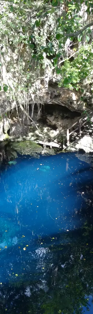 Die Cenoten Yucatáns